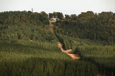 Nannup Hideaway - Hotel Gold Coast 4