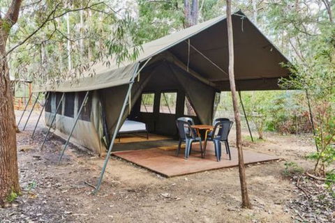 RAC Margaret River Nature Park - Hotel Gold Coast 2