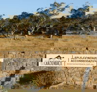 Ecocrackenback 9 'Sustainable chalet close to the slopes.' - Hotel Gold Coast