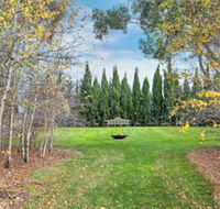 Orchards at Spring Vale Farm