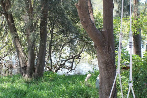 Waters Edge - Hotel Gold Coast 5