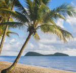 Eden Oceans Edge Palm Cove - Hotel Gold Coast