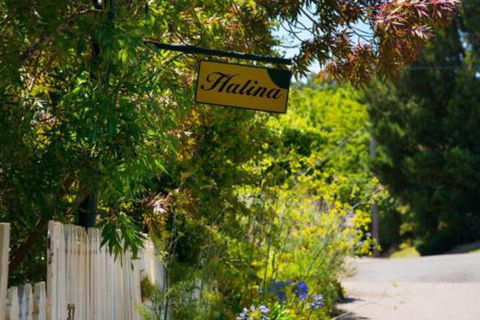 Halina - Hotel Gold Coast 6