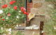 Amandas Cottage 1899 - thumb 5
