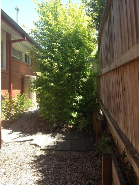 Thornleigh Garden View Comfortable & Tranquil - Hotel Gold Coast 7