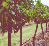 Hermitage Hideaway Homestead  Cottage - Hotel Gold Coast