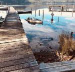 Salt Box Hideaway - Hotel Gold Coast