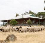 Gilgraves Vineyard Farmstay - Hotel Gold Coast