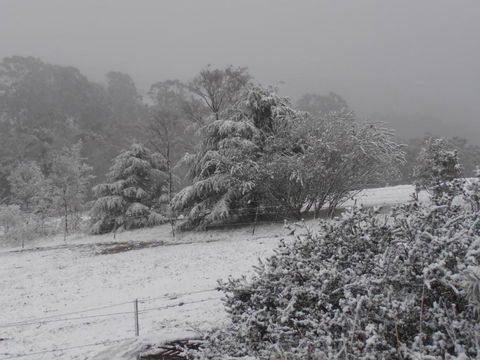 Springmead Rustic Cabin - Hotel Gold Coast 6