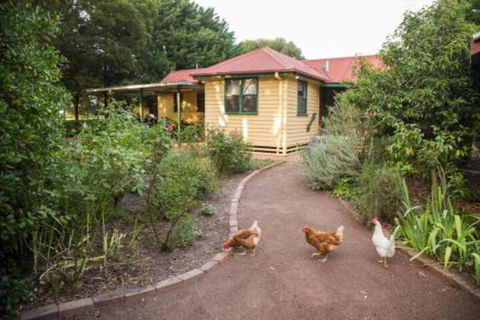Malakai Farm Stay - Hotel Gold Coast 2