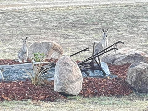 R & R On The Ravine - Hotel Gold Coast 5