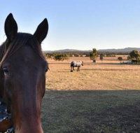 Clydesdale Cottage on Talga with real Clydesdale Horses - Hotel Gold Coast