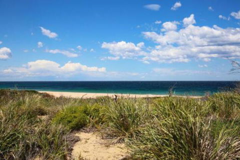 Sea Dream Pet Friendly 1 Min Walk To Beach - Hotel Gold Coast 5