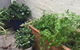 Charming Cottage With Leafy Courtyard - thumb 7