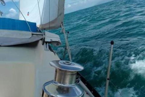 Casual Fare Sailing Charters Townsville Ocean Living Cruise - Hotel Gold Coast 2