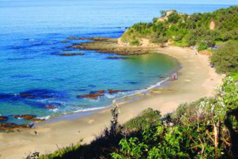 Pacific Studio Nambucca Heads - Hotel Gold Coast 5