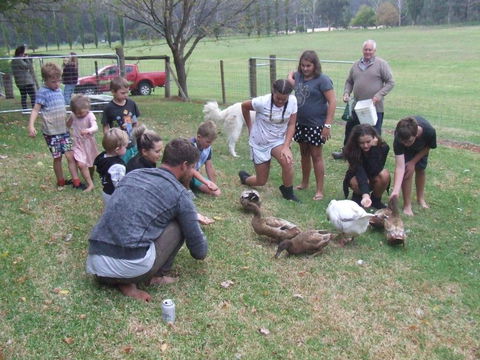 Kiah Country Gardens B & B - Hotel Gold Coast 2