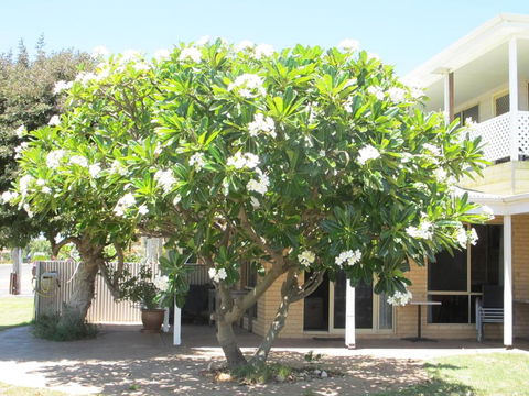 Kalbarri Riverfront Unit - Hotel Gold Coast 3