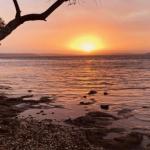 Paradise Beach Apartments - Hotel Gold Coast 0