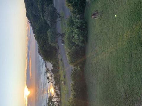 Acutterbove - Hotel Gold Coast 6