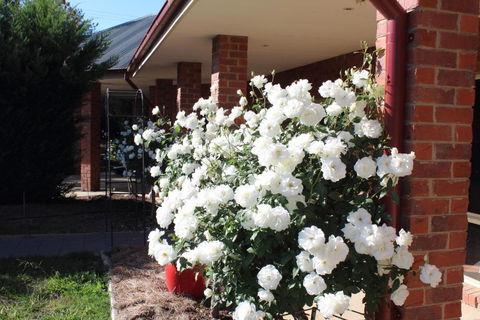 Gundaroo Manor Bed & Breakfast - Hotel Gold Coast 1