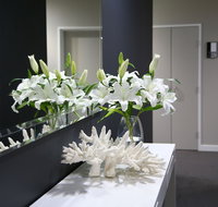 Springfield Lakes Boutique Hotel - Hotel Gold Coast