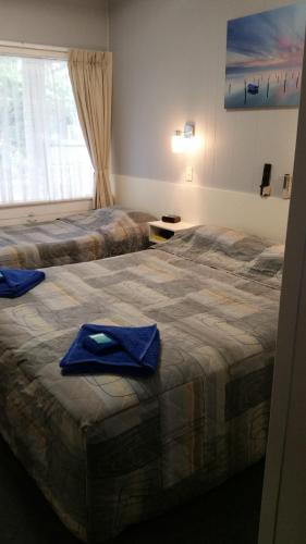 The Tree Motel - Hotel Gold Coast 1