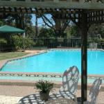 The Tree Motel - Hotel Gold Coast 0