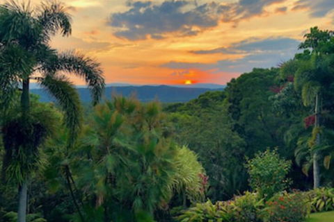 Daintree Manor Bed & Breakfast - Hotel Gold Coast 0
