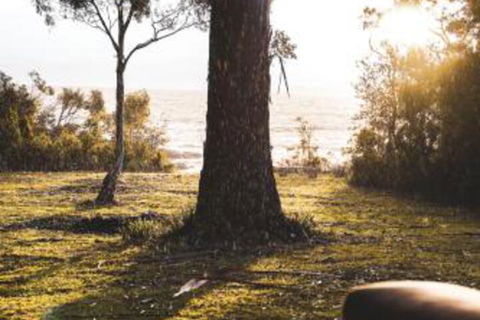 Seagrass On Sunset Bay - Hotel Gold Coast 1