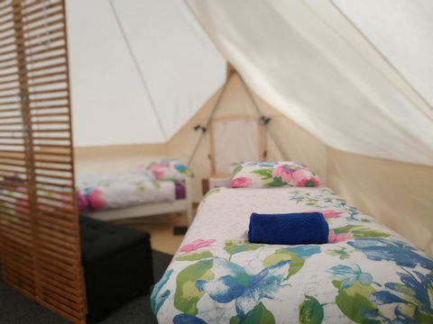 Glamping At Zeehan Bush Camp - Hotel Gold Coast 6