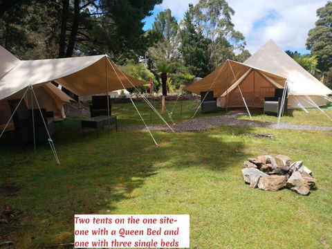 Glamping At Zeehan Bush Camp - Hotel Gold Coast 2