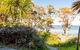 The Shack At Palm Beach 4pm Check Out Sundays - thumb 5
