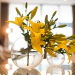 KUI Manhattan Apartments - Hotel Gold Coast 0