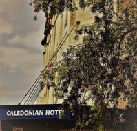 Caledonian Hotel - Hotel Gold Coast
