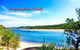 Trade Winds At Callala Beach - thumb 2