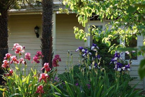 Eagles View Cottage Yarra Valley - Hotel Gold Coast 1