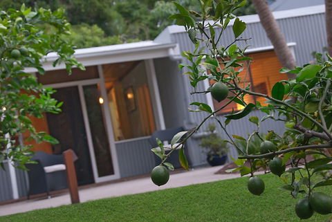 Gecko Shed - Hotel Gold Coast 6