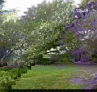 Petersons Armidale Winery  Guesthouse - Hotel Gold Coast