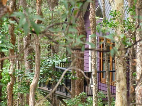 Amytis Gardens Retreat & Day Spa - Hotel Gold Coast 1