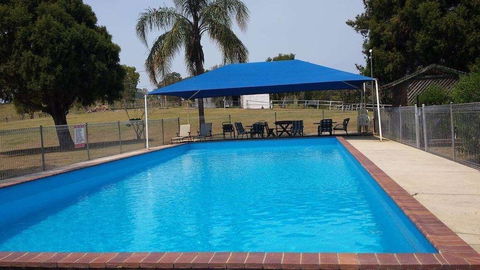Jacaranda Motor Lodge - Hotel Gold Coast 6