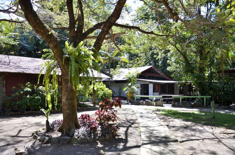 PKs Jungle Village - Hostel - Hotel Gold Coast 5