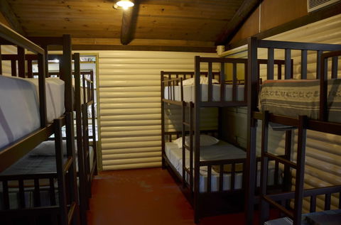PKs Jungle Village - Hostel - Hotel Gold Coast 6