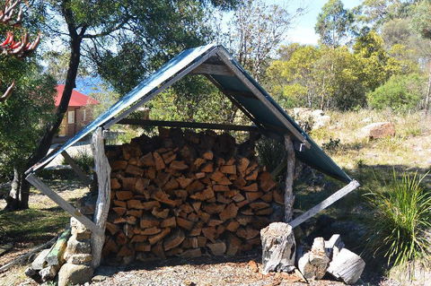 The Tree House - Hotel Gold Coast 4