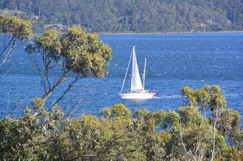 The Tree House - Hotel Gold Coast 3