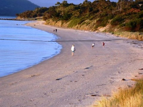 The Tree House - Hotel Gold Coast 5