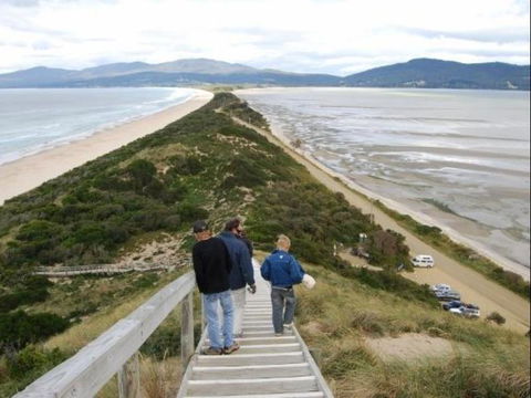 The Tree House - Hotel Gold Coast 6