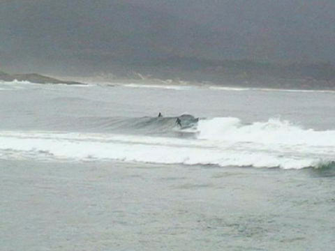 The Tree House - Hotel Gold Coast 2