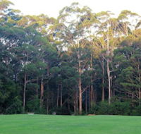 Tinglewood Cabins - Hotel Gold Coast