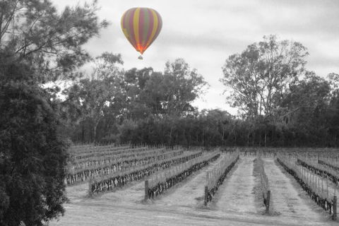 Adina Vineyard - Hotel Gold Coast 5